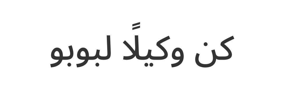 Agent Program