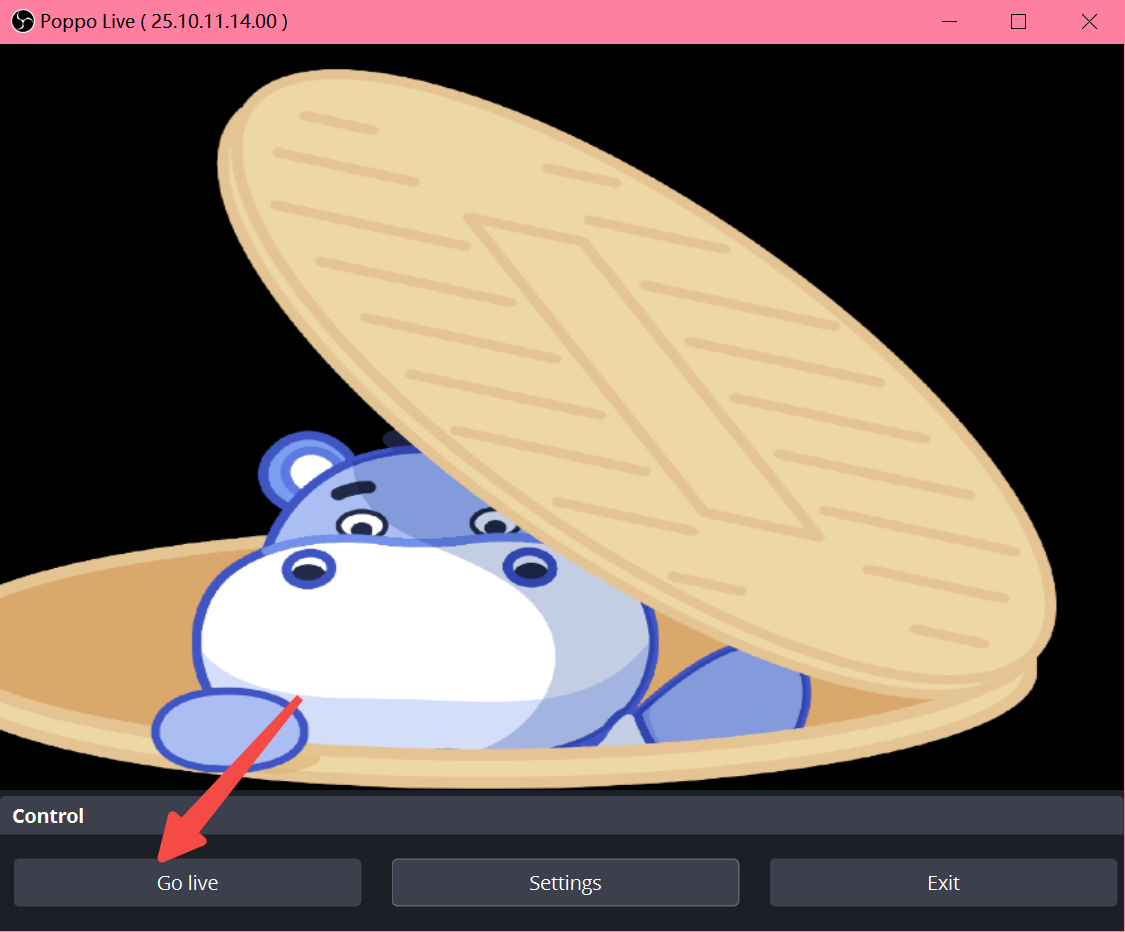 Starting the live broadcast in OBS